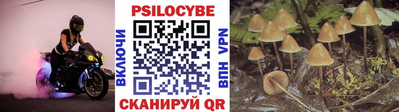 Галлюциногенные грибы прущие грибы  Майкоп 