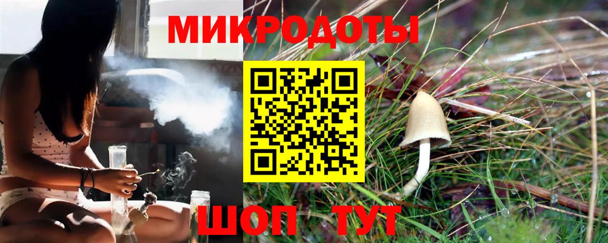 Майкоп  Псилоцибиновые грибы ЛСД  Галлюциногенные грибы Psilocybine cubensis  купить закладку  Вход с VPN 