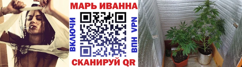 магазин продажи наркотиков  MEGA онион  Бошки марихуана THC 21%  Майкоп 