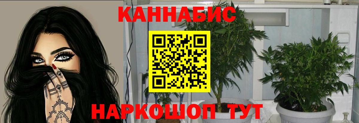 Шишки марихуана тримм  Бошки марихуана марихуана  Вход с VPN  Майкоп  Бошки марихуана Ganja 